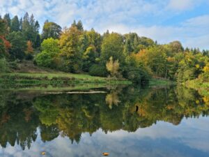A view of the stroud countryside. A beautiful lake with trees reflected in the water. Contact