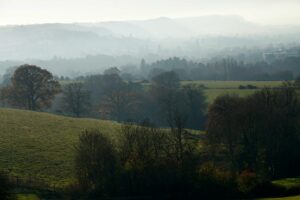A misty view of the hills and trees in Stroud. Biodynamic Psychotherapy
